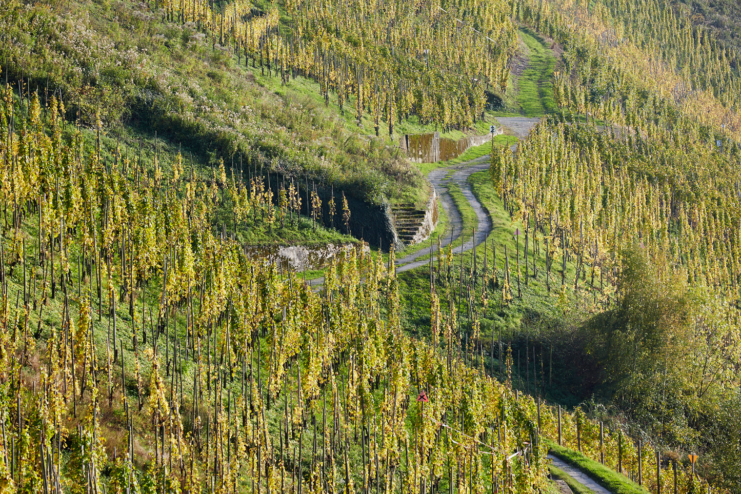 Weingut Vollenweider