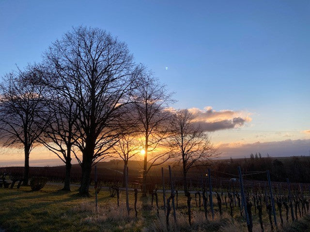 Weingut Leiner